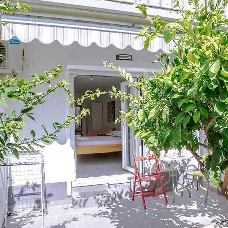 Guest house Studios Lavender 3*